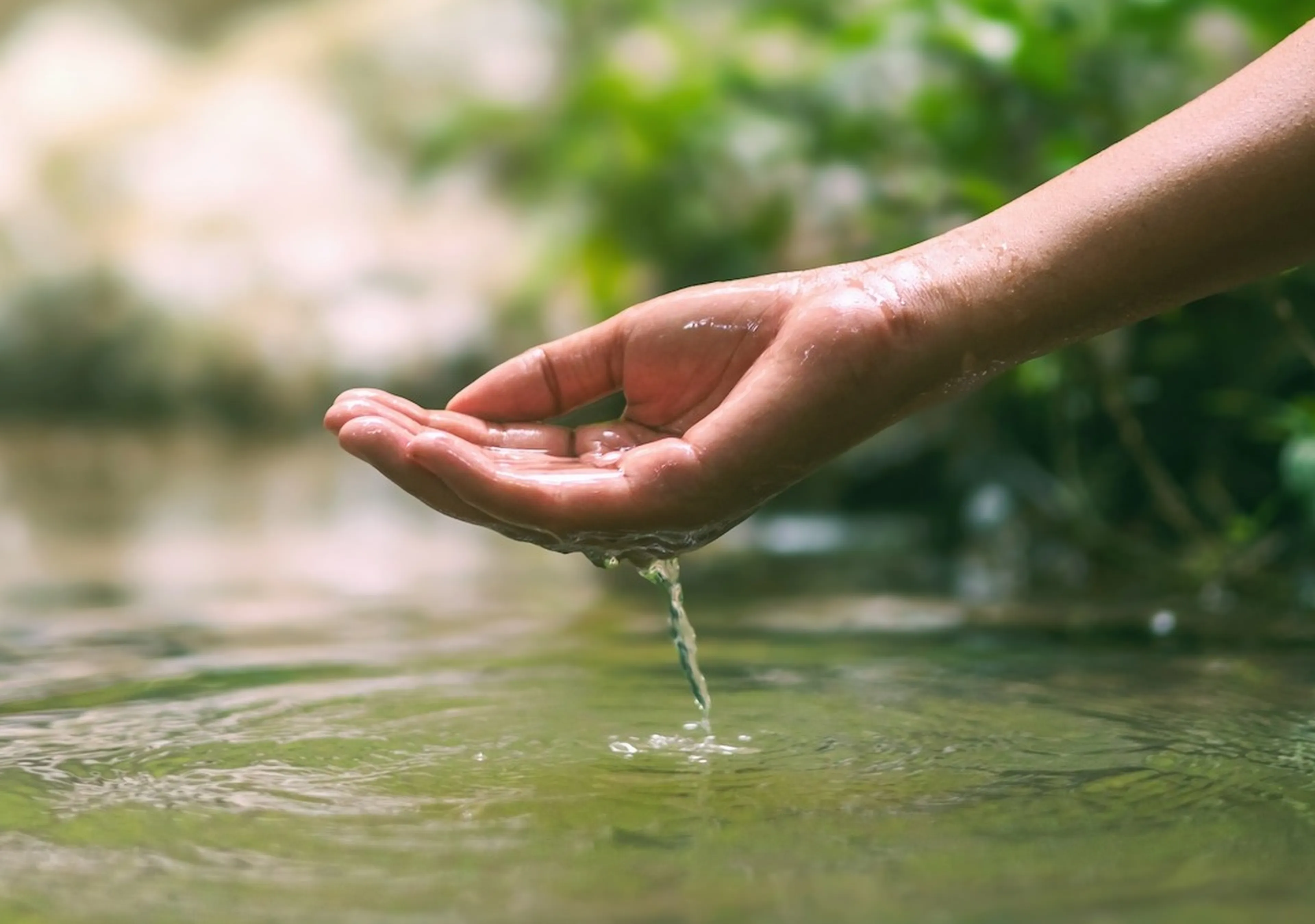 Hand über einer Wasserquelle. Die Hand schöpft Wasser.