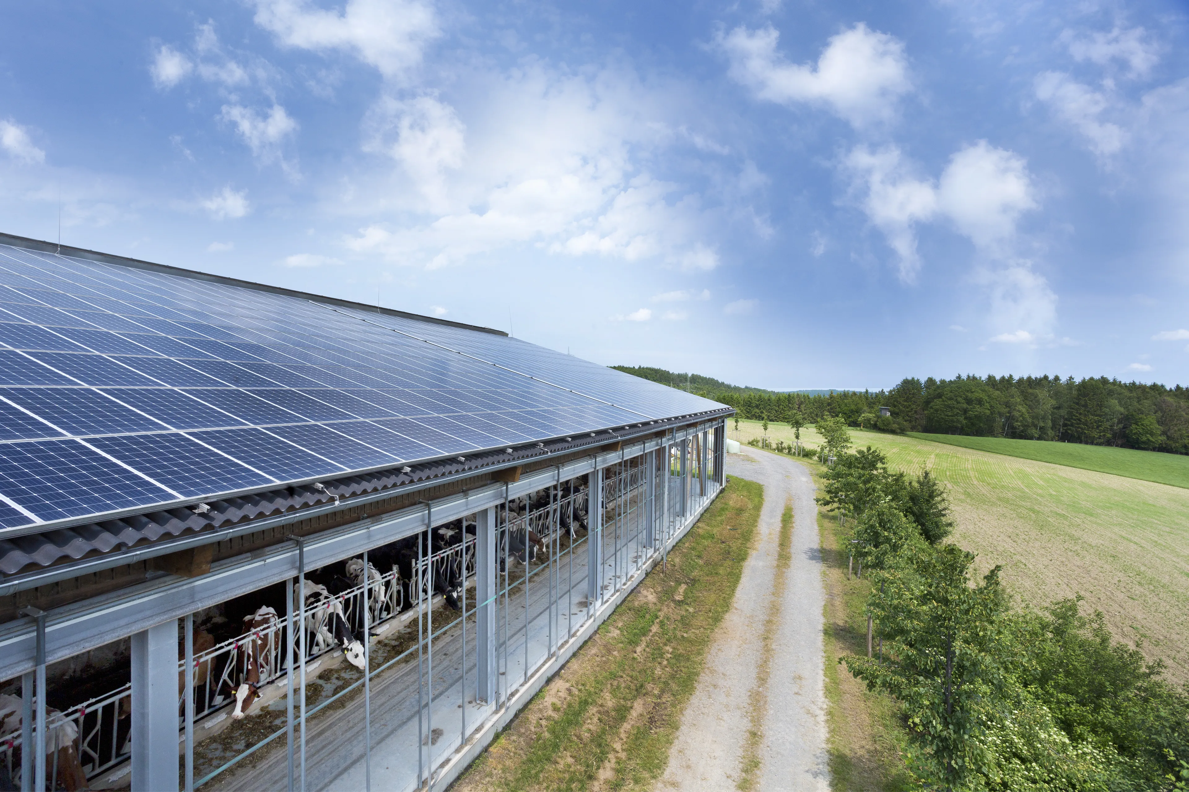 Photovoltaikanlage auf landwirtschaftlichem Betrieb zur Erzeugung von Ökostrom